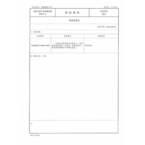 螺栓检测报告