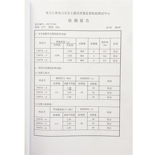 携带型短路接地线 10kv检测报告