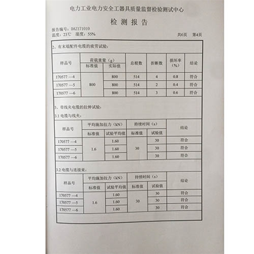 个人保安线 0.4KV检测报告