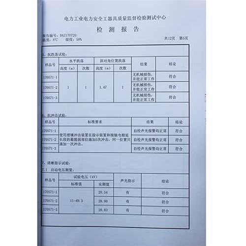 电容型验电器110KV检测报告